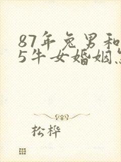 87年兔男和85牛女婚姻怎样封面