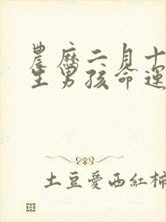 农历二月十九出生男孩命运