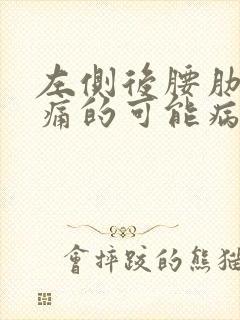 左侧后腰肋下疼痛的可能病因