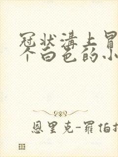 冠状沟上冒出一个白色的小疙瘩封面