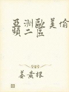 亚洲欧美偷拍视频二区封面