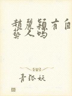 赵丽颖有自己的艺人吗