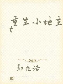 重生小地主txt封面