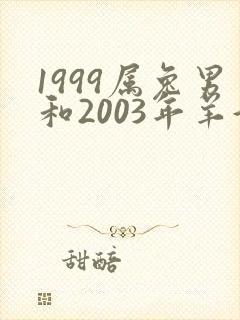 1999属兔男和2003年羊好不好