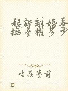 起诉离婚争孩子抚养权多少钱