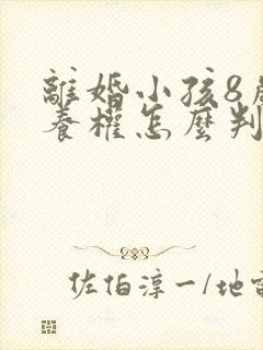 离婚小孩8岁抚养权怎么判定