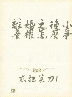 离婚之后小孩抚养权怎么争取