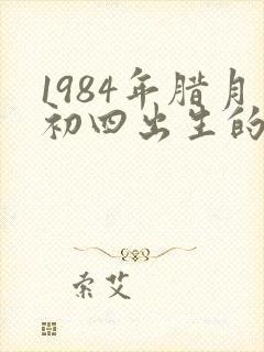 1984年腊月初四出生的命运封面