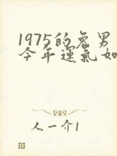 1975的兔男今年运气如何封面