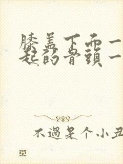 膝盖下面一点凸起的骨头一按就疼