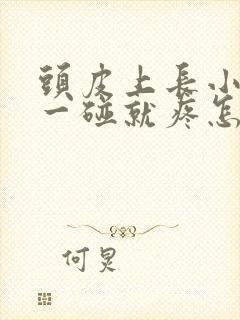 头皮上长小疙瘩一碰就疼怎么回事