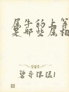 属牛的上等婚配是哪些属相封面