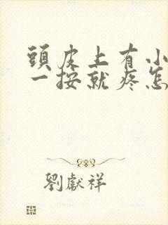 头皮上有小疙瘩一按就疼怎么回事