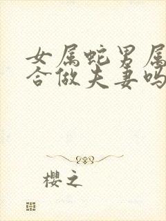 女属蛇男属马适合做夫妻吗