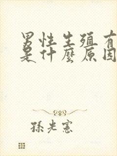 男性生殖有异味是什么原因