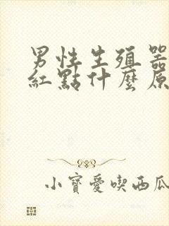 男性生殖器上有红点什么原因