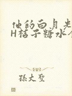 他的白月光HVH桔子糖水全文
