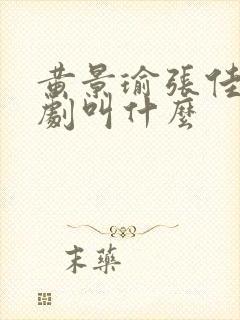 黄景瑜张佳宁新剧叫什么