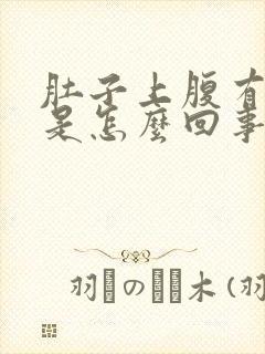 肚子上腹有硬块是怎么回事