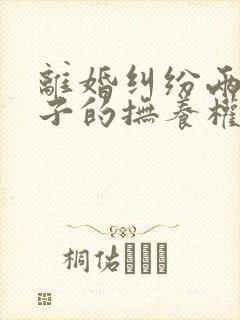 离婚纠纷两个孩子的抚养权如何确定判决