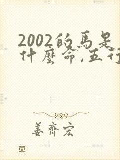 2002的马是什么命,五行属性