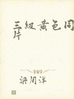 三级黄色同性恋片封面