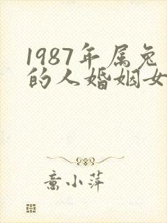 1987年属兔的人婚姻女命运