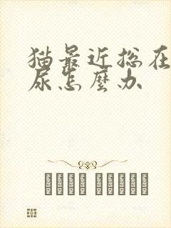 猫最近总在床上尿怎么办