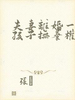 夫妻离婚一个男孩子抚养权怎么判定