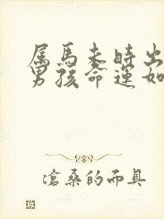 属马未时出生的男孩命运如何封面