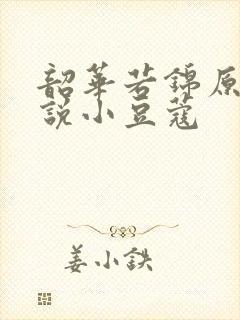 韶华若锦原著小说小豆蔻