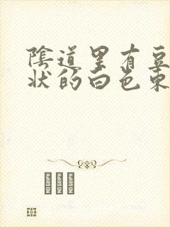 阴道里有豆腐渣状的白色东西