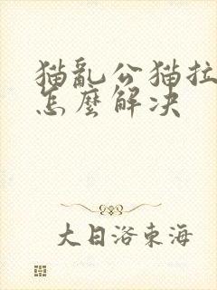 猫乱公猫拉乱尿怎么解决