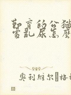 节育的公猫还到处乱尿怎么办