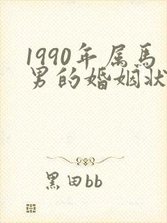 1990年属马男的婚姻状况