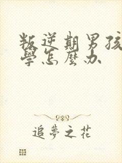 叛逆期男孩子厌学怎么办