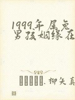 1999年属兔男孩姻缘在哪一年