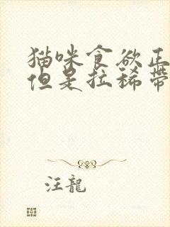 猫咪食欲正常 但是拉稀带血