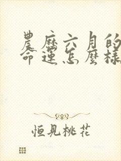 农历六月的鸡女命运怎么样