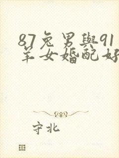 87兔男与91羊女婚配好不好