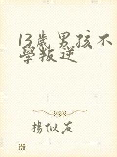 13岁男孩不上学叛逆封面