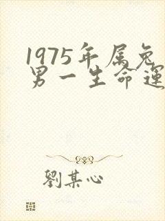 1975年属兔男一生命运怎么样封面