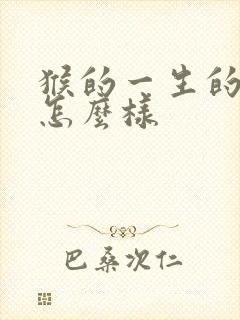 猴的一生的命运怎么样封面