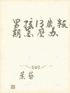 男孩13岁叛逆期怎么办