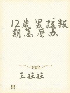 12岁男孩叛逆期怎么办封面