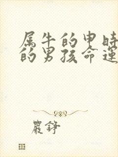 属牛的申时出生的男孩命运