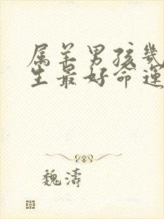 属羊男孩几点出生最好命运封面