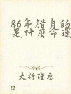 86年腊月的虎是什么命运