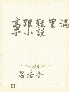 高跟鞋里满是精子小说封面