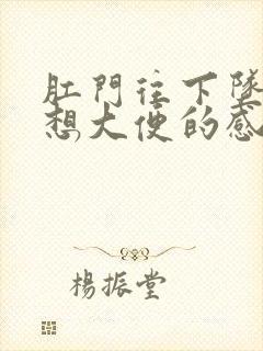 肛门往下坠还有想大便的感觉是怎么回事